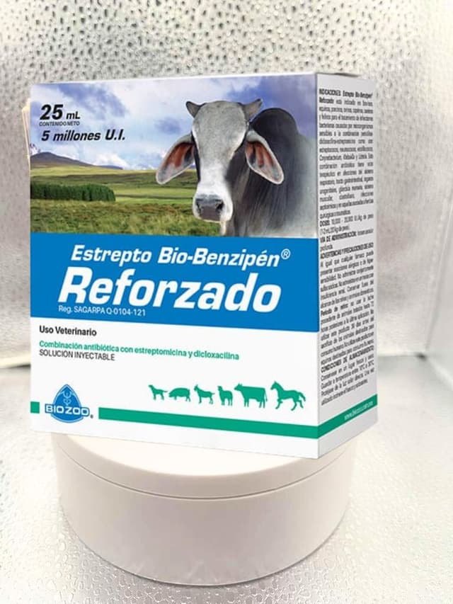 Estrepto Bio-Benzipén 25 mL