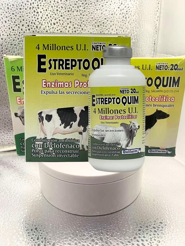 Estrepto Quim Injectable 20 mL