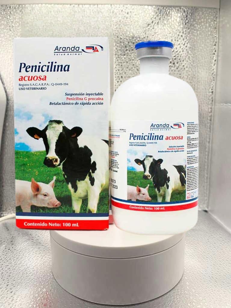 Penicilina Acuosa 100 mL
