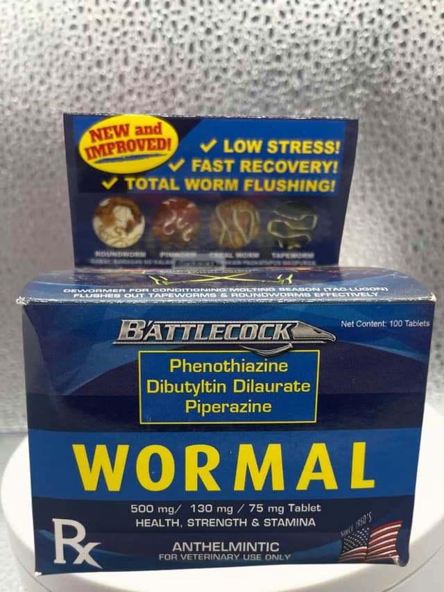 Wormal – 100 Tabletas