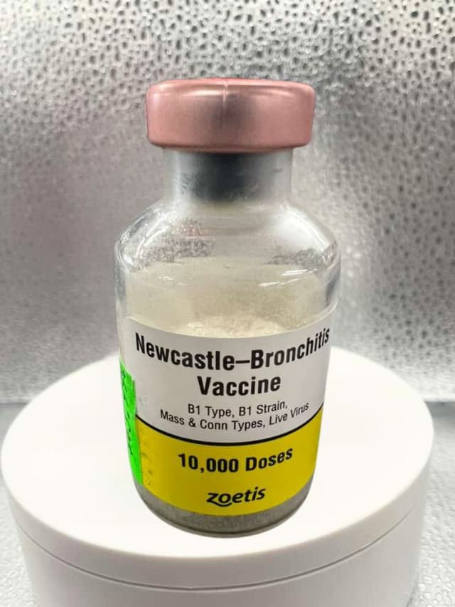 Newcastle-Bronchitis Vaccine 10000 Doses