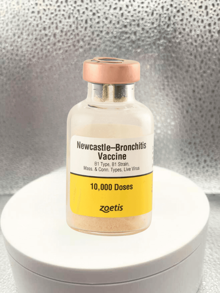 Newcastle-Bronchitis Vaccine 10000 Doses