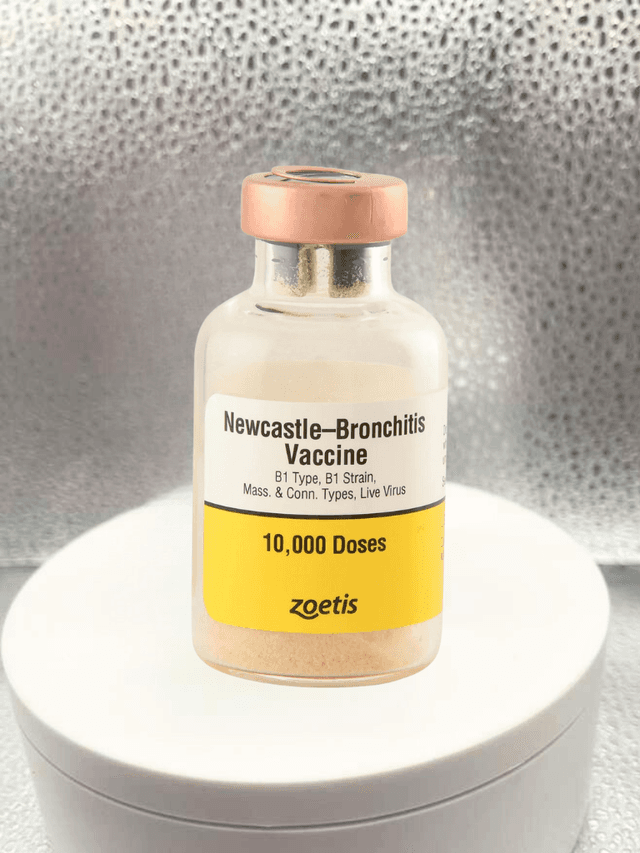 Newcastle-Bronchitis Vaccine 10000 Doses