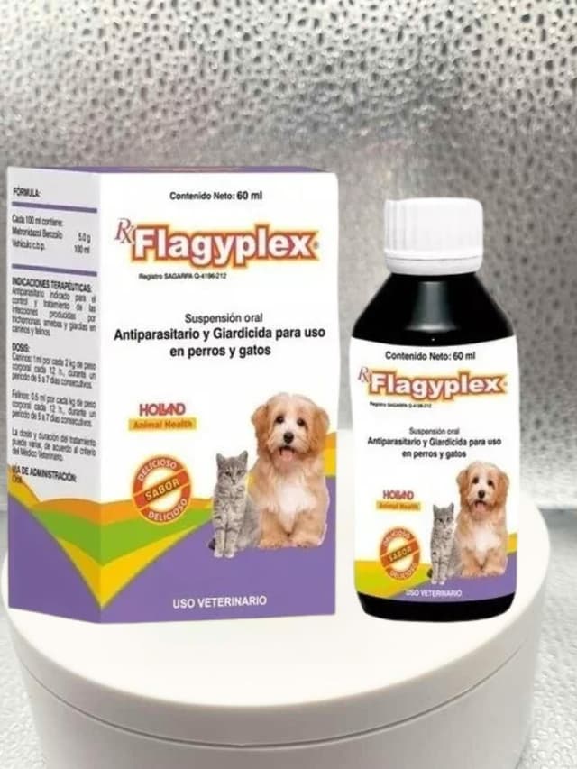 Flagyplex Suspensión Oral 60 mL