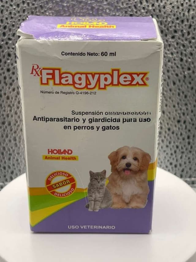 Flagyplex Suspensión Oral 60 mL