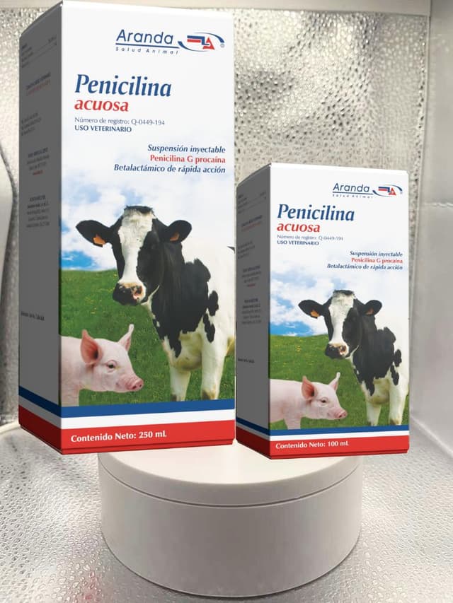 Penicilina Acuosa 100 mL