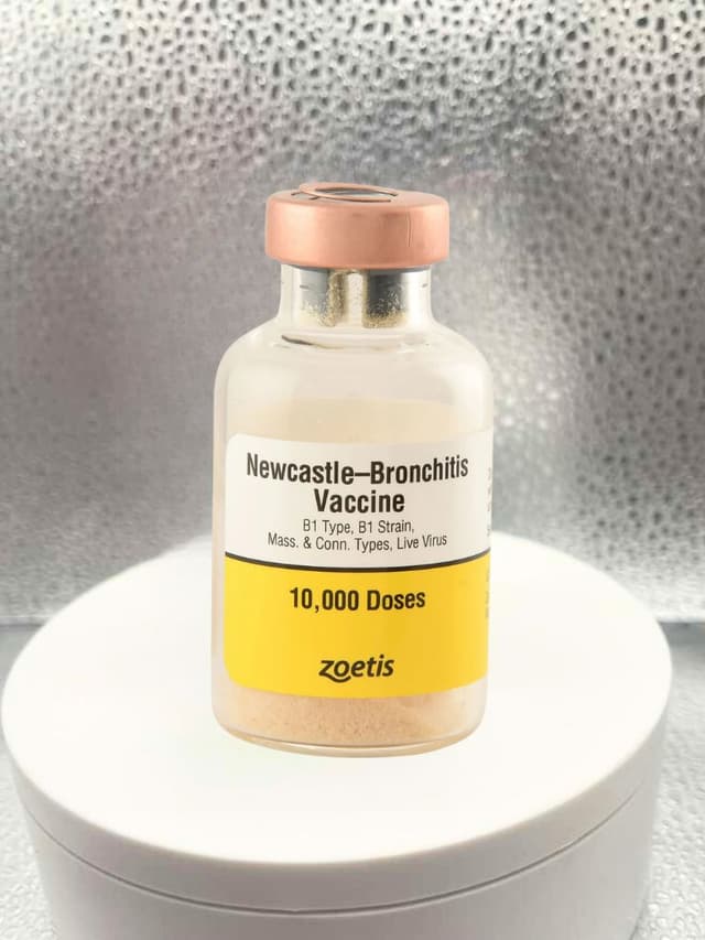 Newcastle-Bronchitis Vaccine 10000 Doses