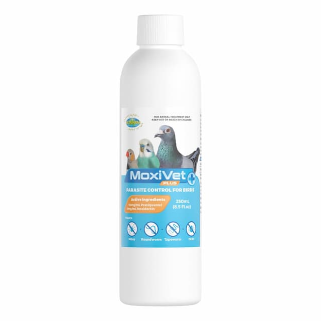 MoxiVet Plus Bird Parasite Control Liquid for Pigeons 50ml